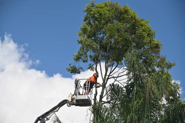Soil Testing and Treatment in Long Grove, IL